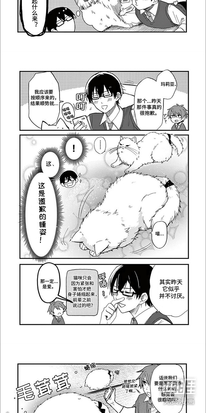 第7话：第7章：猫语预览分镜