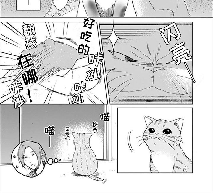 第8话：第8章：猫猫特工预览分镜