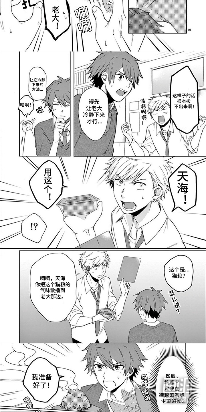 第11话：第11章：老大卡住了预览分镜