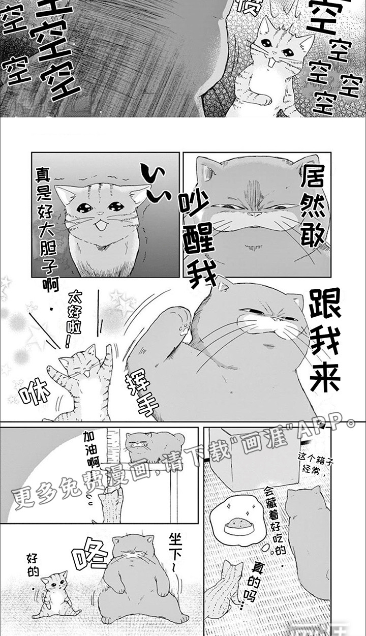 第14话：第14章：老大带娃预览分镜