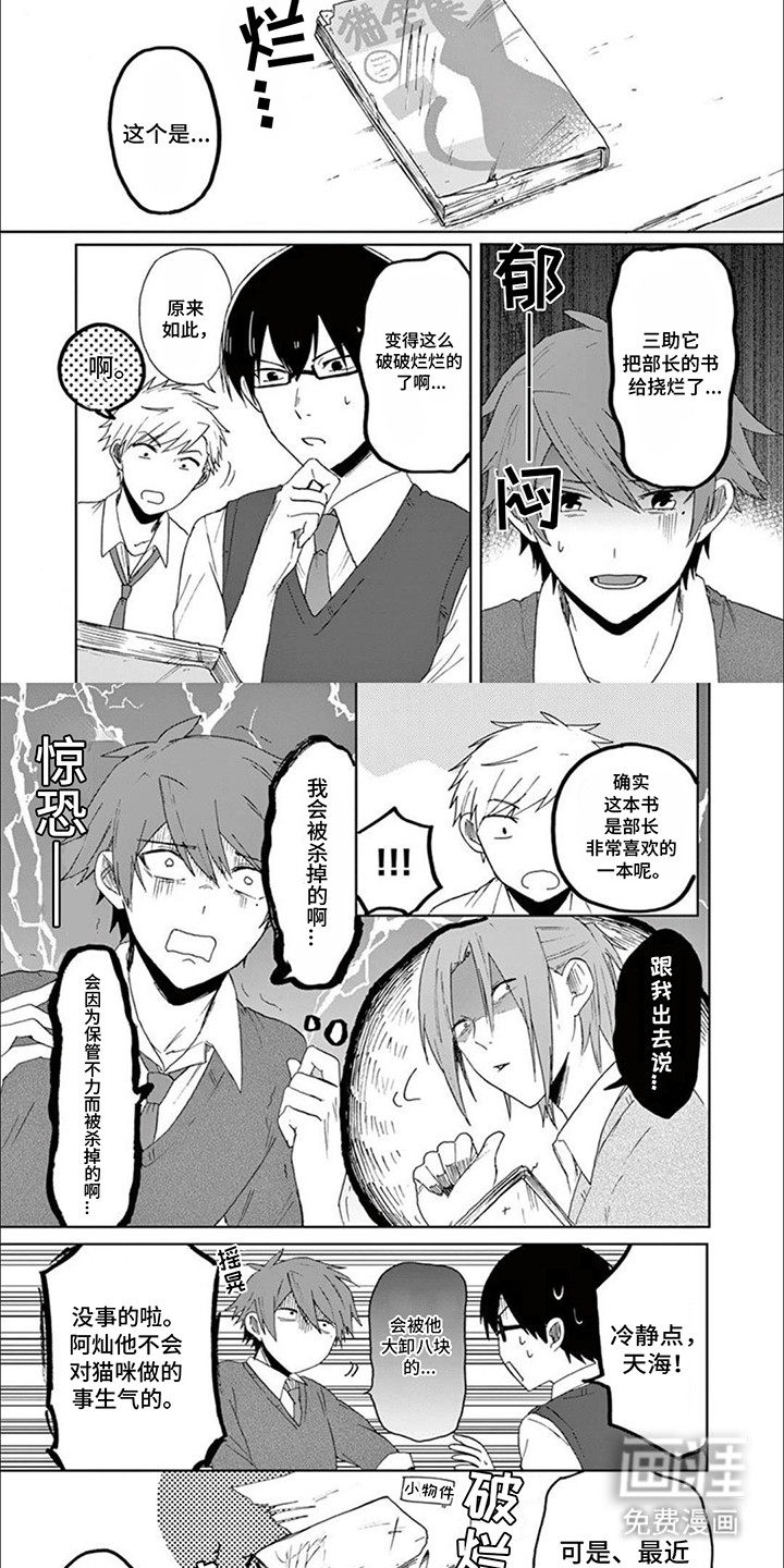 第15话：第15章：捣乱预览分镜