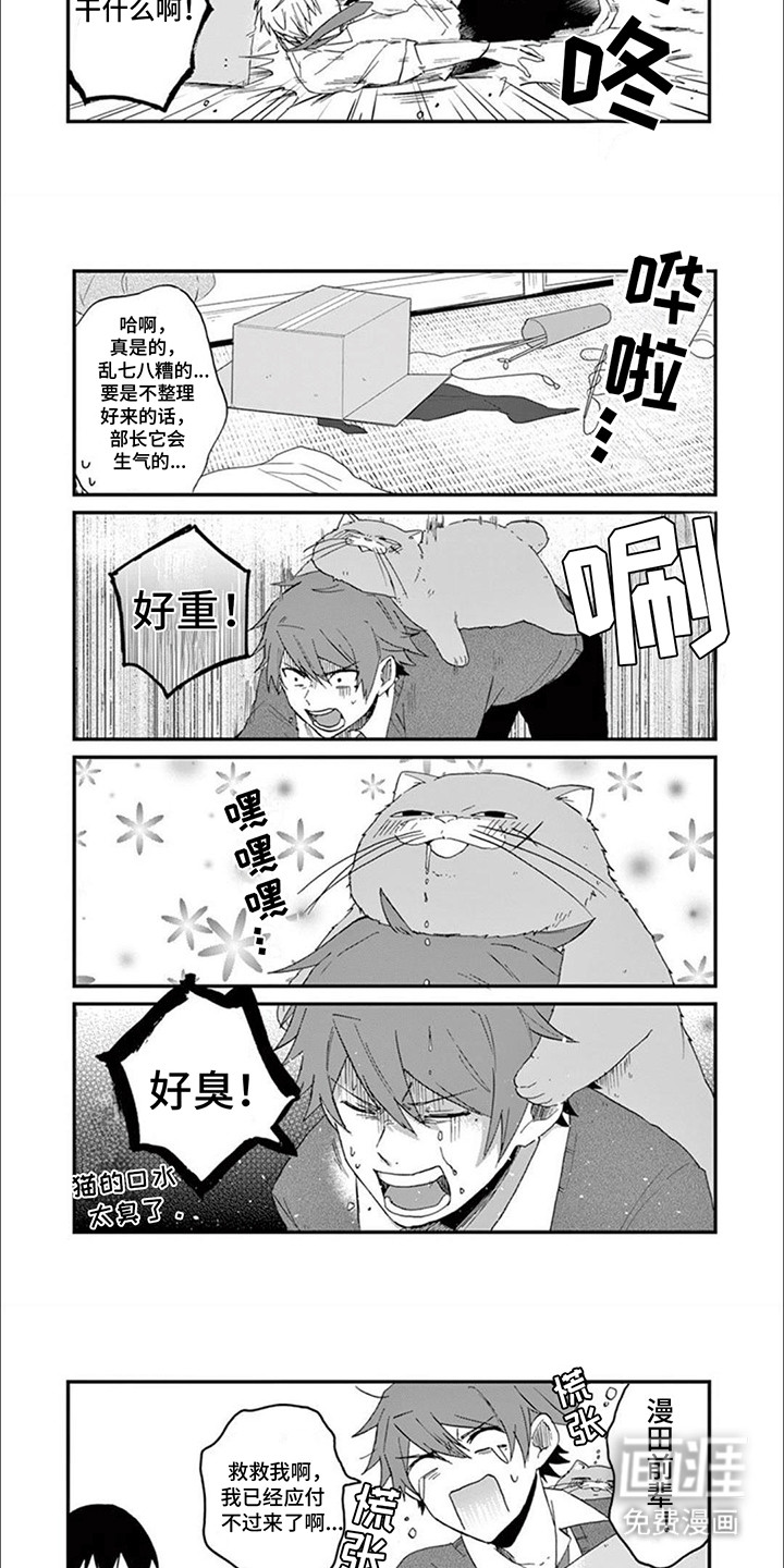 第16话：第16章：木天蓼预览分镜