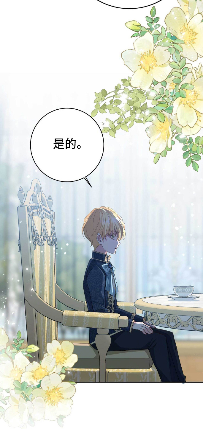 第15话：第15章：效果预览分镜