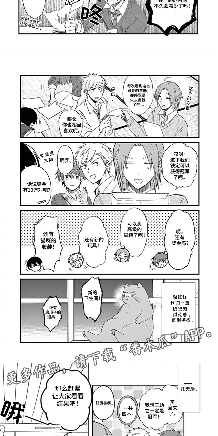 第3话：第3章：最美猫咪预览分镜