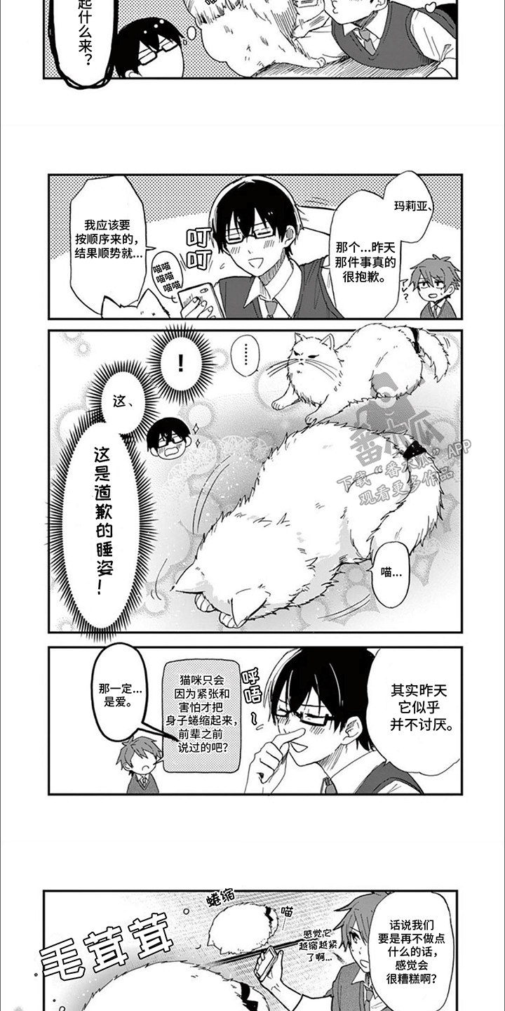 第7话：第7章：猫语预览分镜