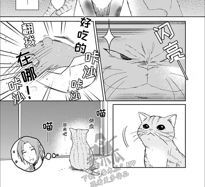 第8话：第8章：猫猫特工预览分镜