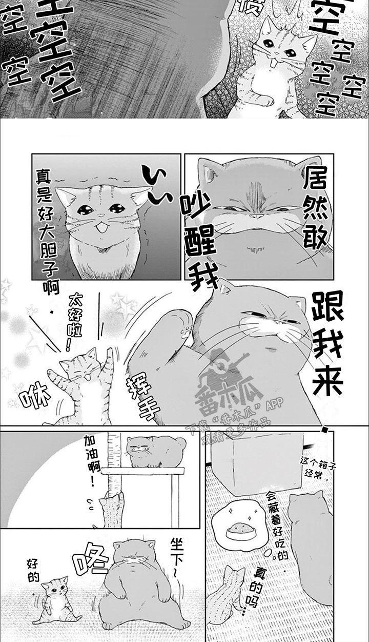 第14话：第14章：老大带娃预览分镜