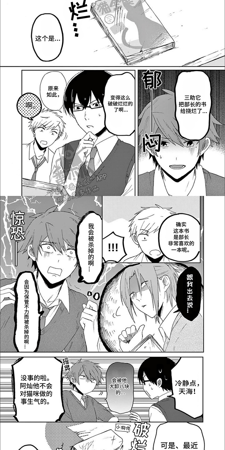 第15话：第15章：捣乱预览分镜