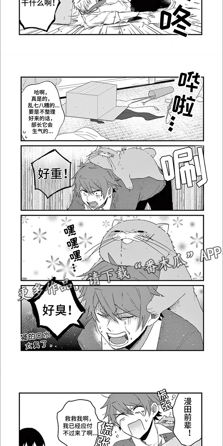 第16话：第16章：木天蓼预览分镜