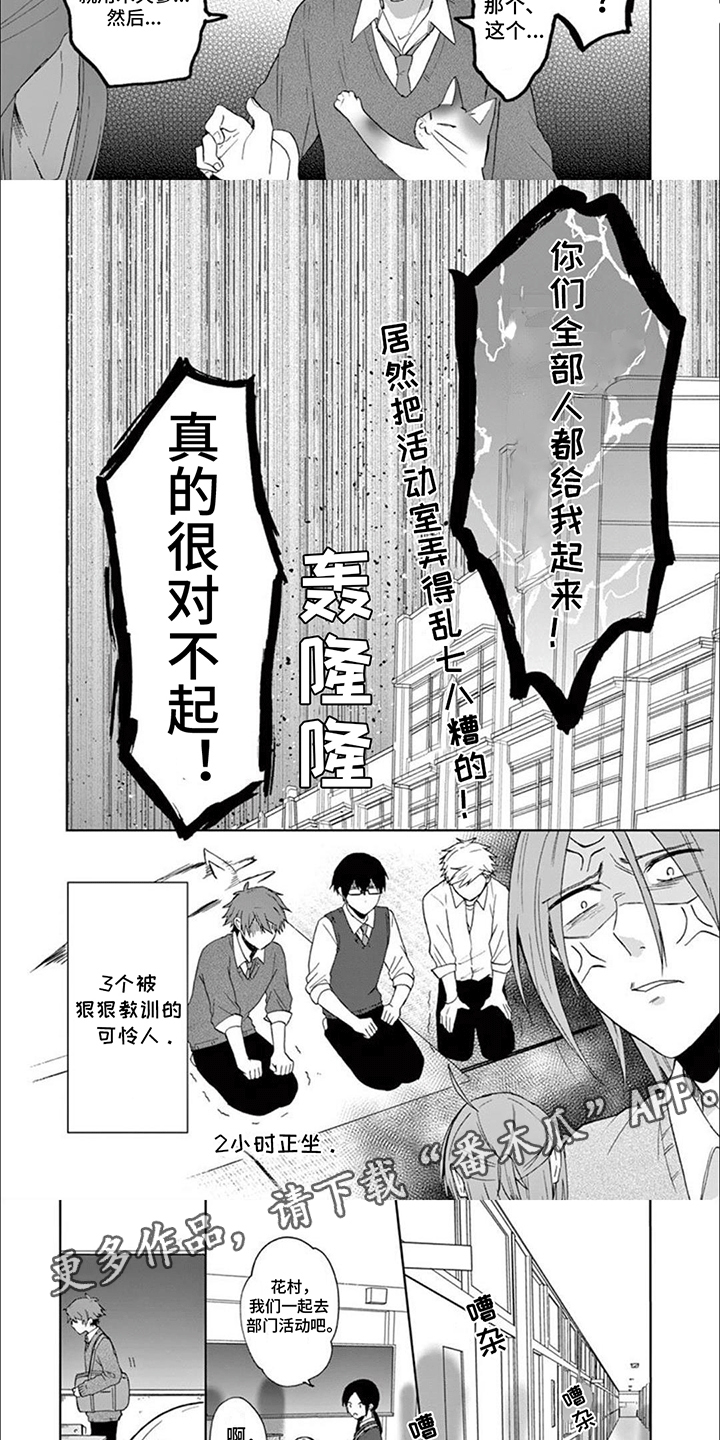 第17话：第17章：猫猫社危机预览分镜