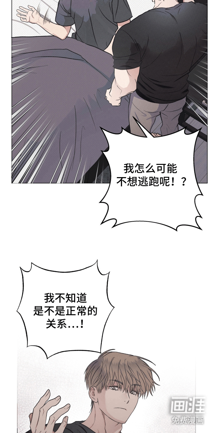 第14章:他的主人(完结)
