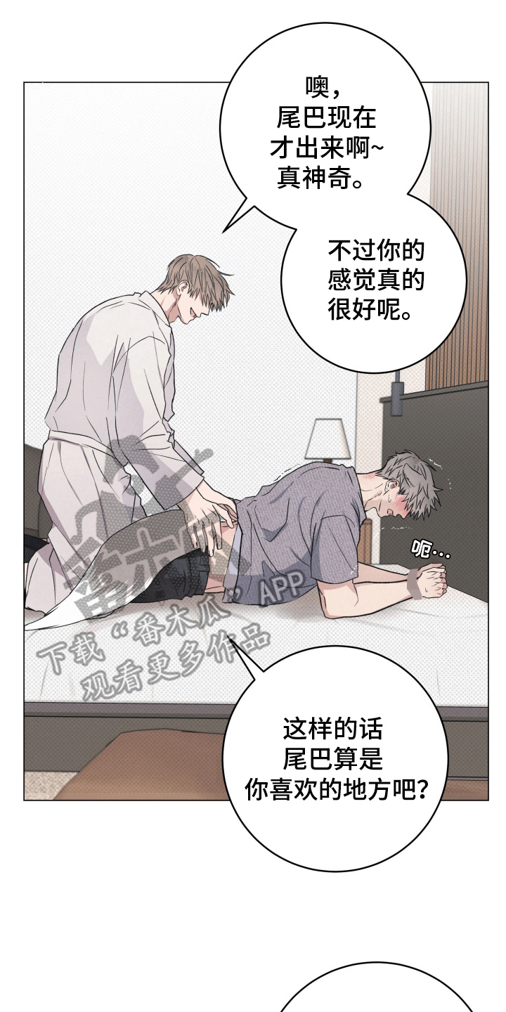 第6话：第6章：检查预览分镜