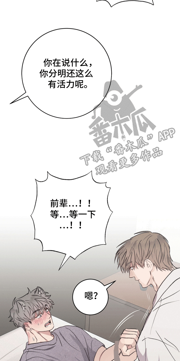 第7话：第7章：代价预览分镜
