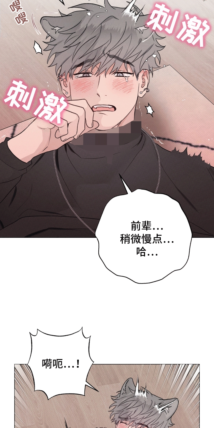 第15话：第15章：真暖和预览分镜