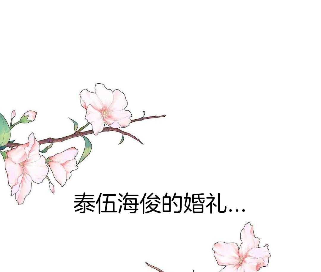 后记_作者留言（全本完结）