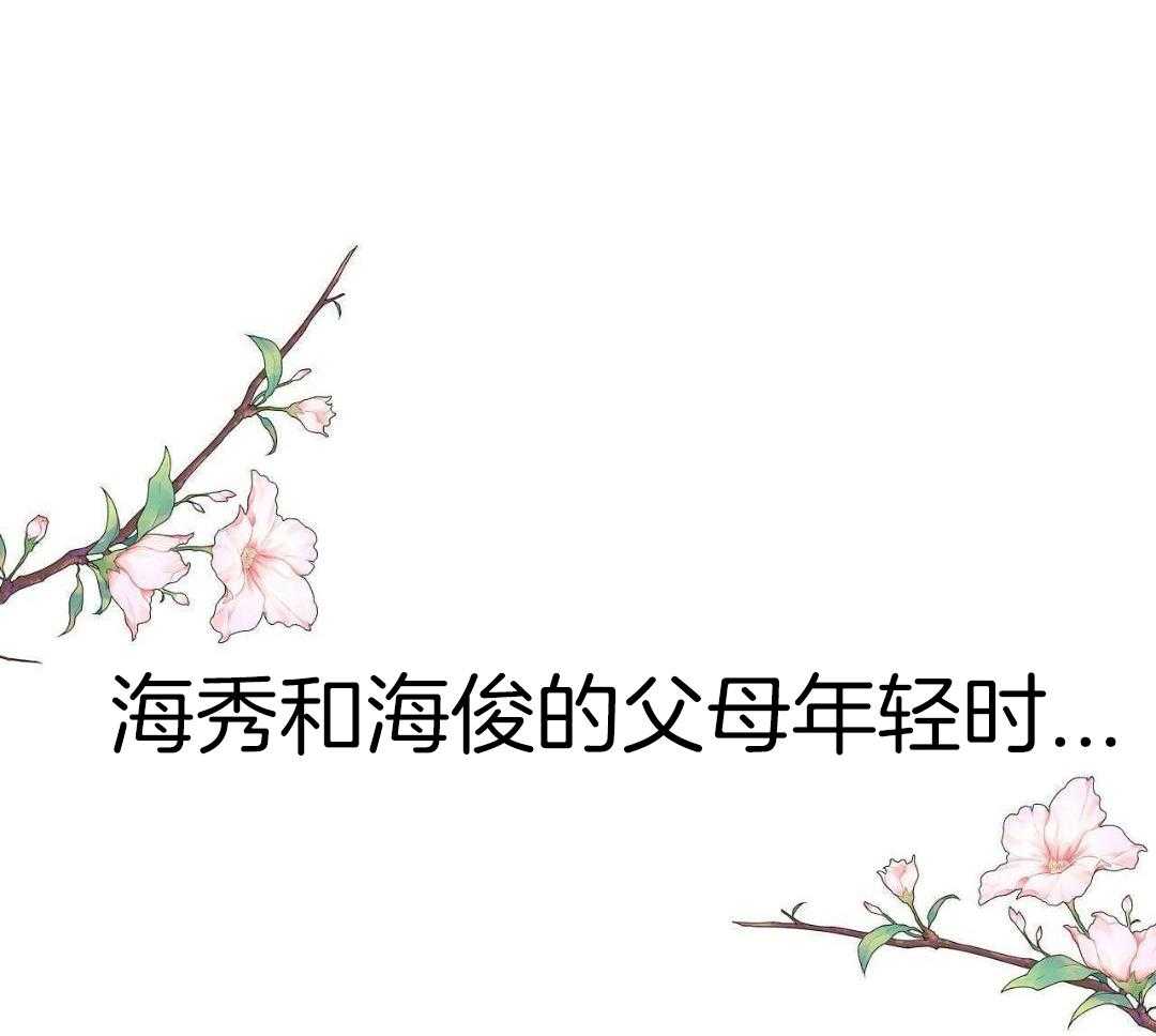 后记_作者留言（全本完结）