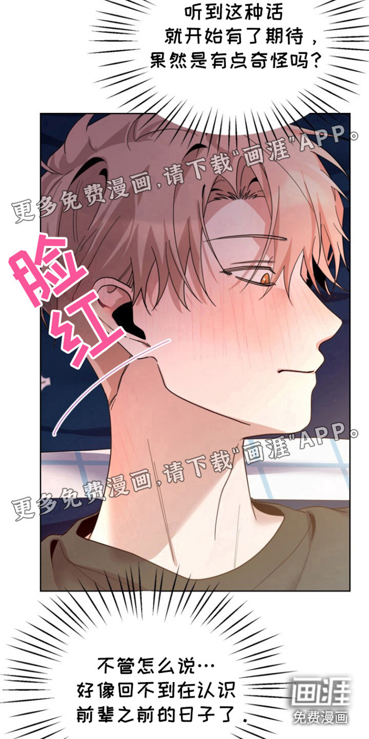 第13话：第13章：再见预览分镜