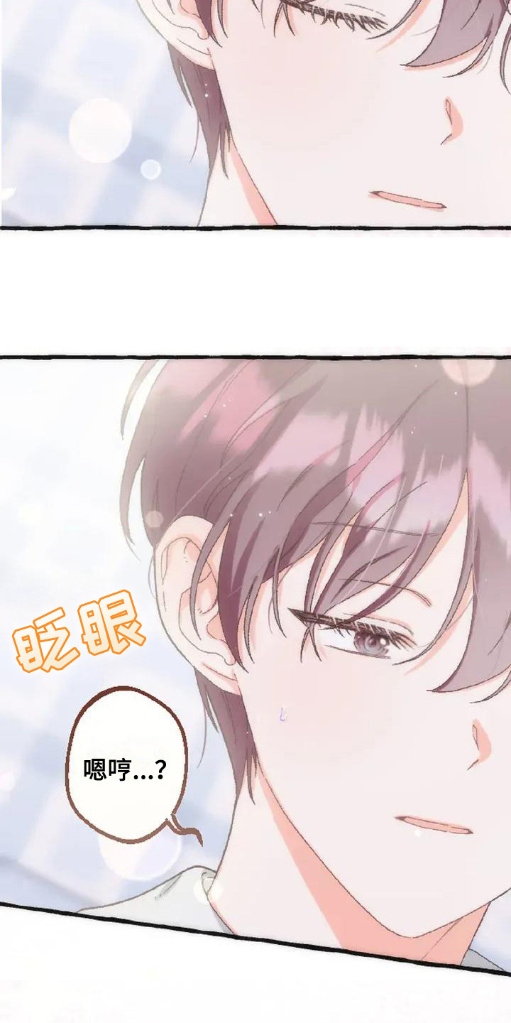 第6话：第6章：收留预览分镜