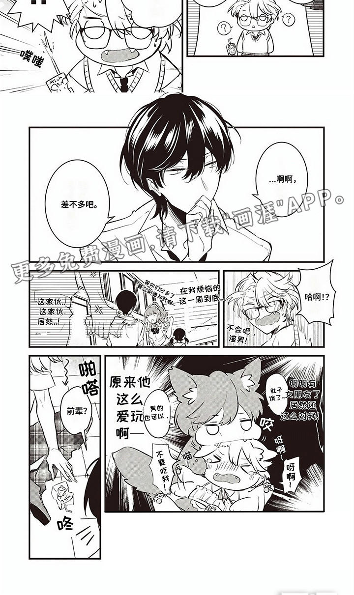 第5话：第5章：礼物预览分镜