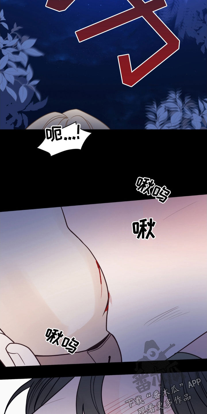 第53章:会合