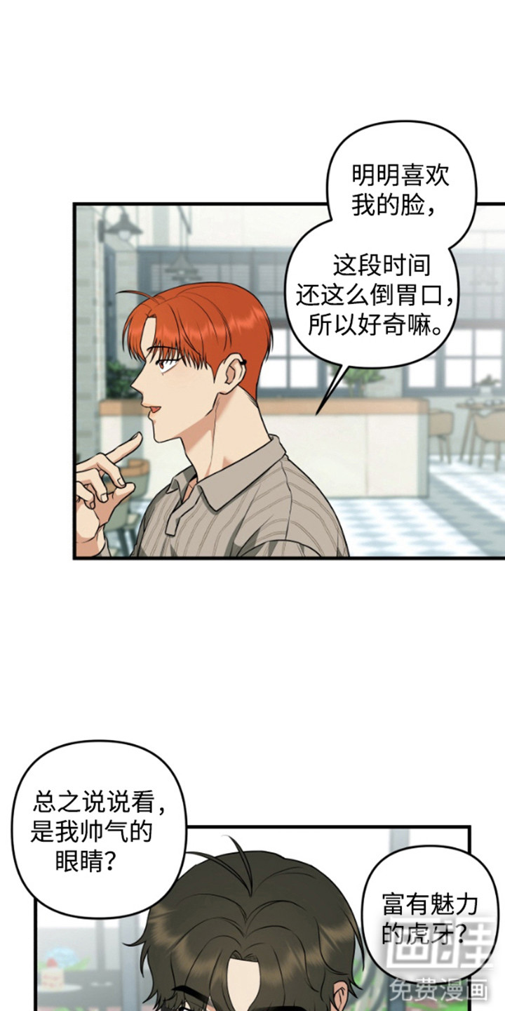 第8话：第8章：长得很像预览分镜