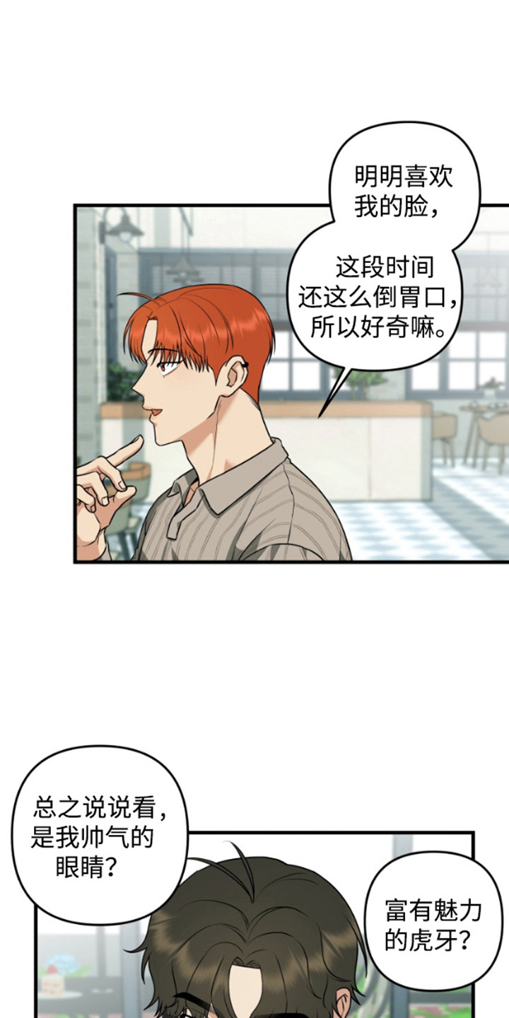 第9话：第9章：长得很像预览分镜