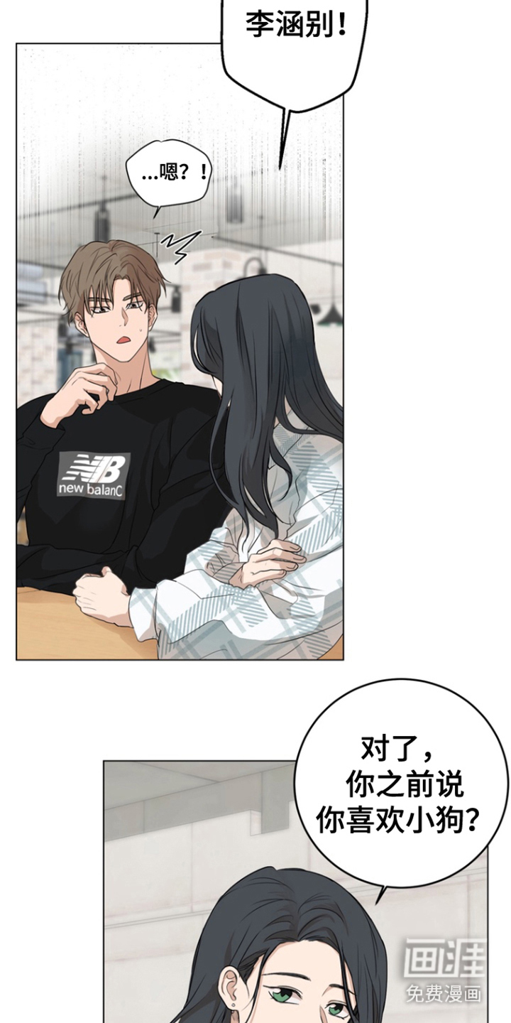 第5话：第5章：宠物咖啡店预览分镜