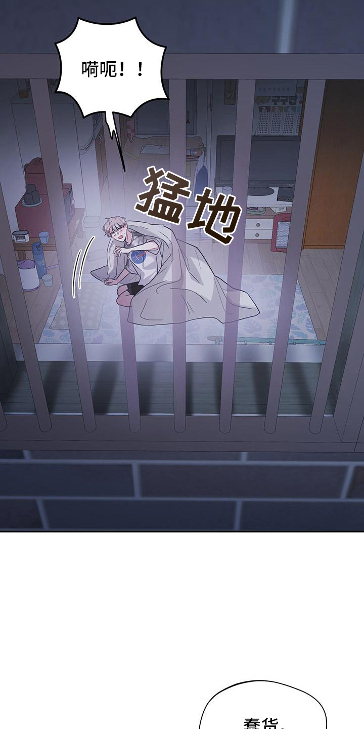 第5话：第5章：跟我来预览分镜