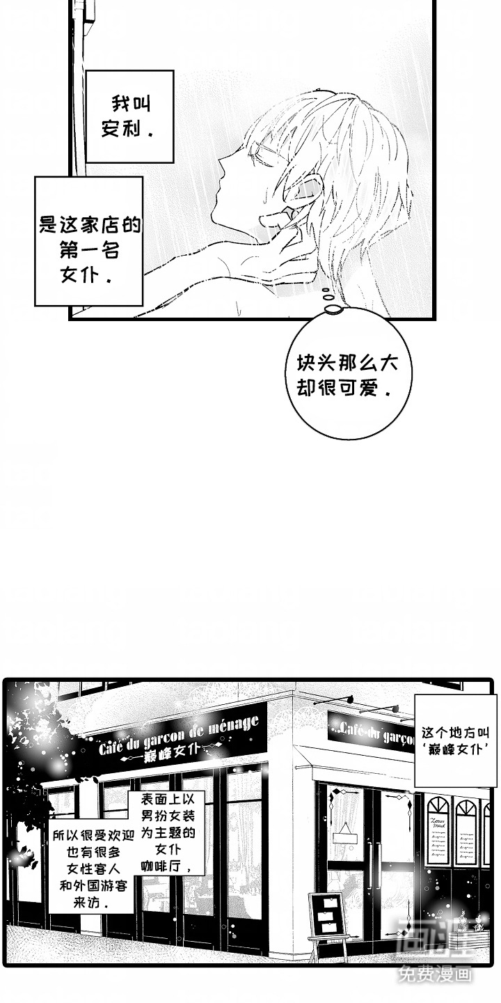第5话：第5章：很专业预览分镜