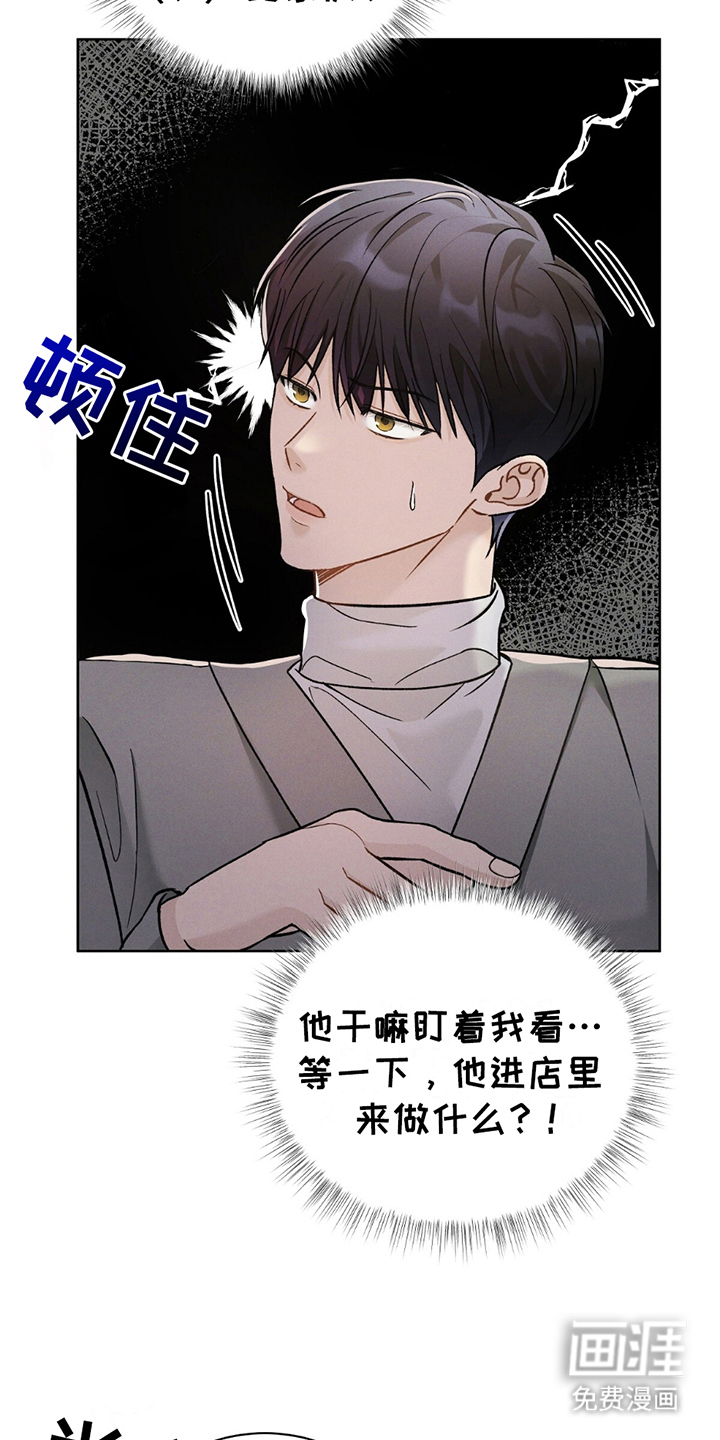 第6话：第6章：不需要预览分镜