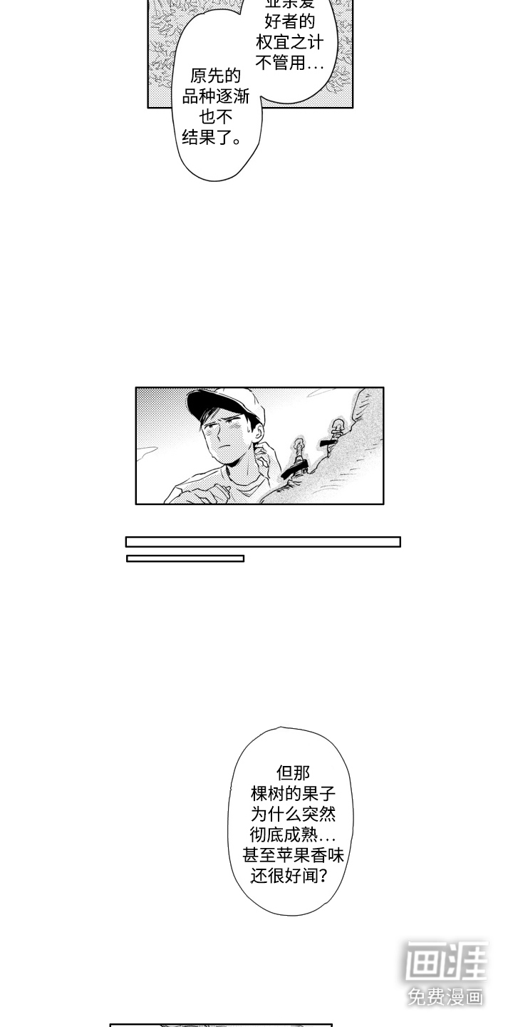 第7话：第7章：嫁接预览分镜