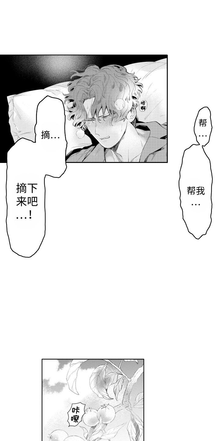 第1话：第1章：真正目的预览分镜