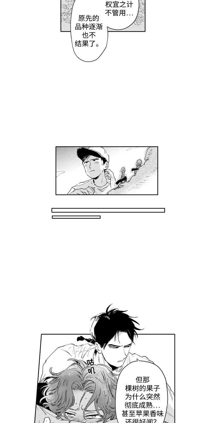 第7话：第7章：嫁接预览分镜