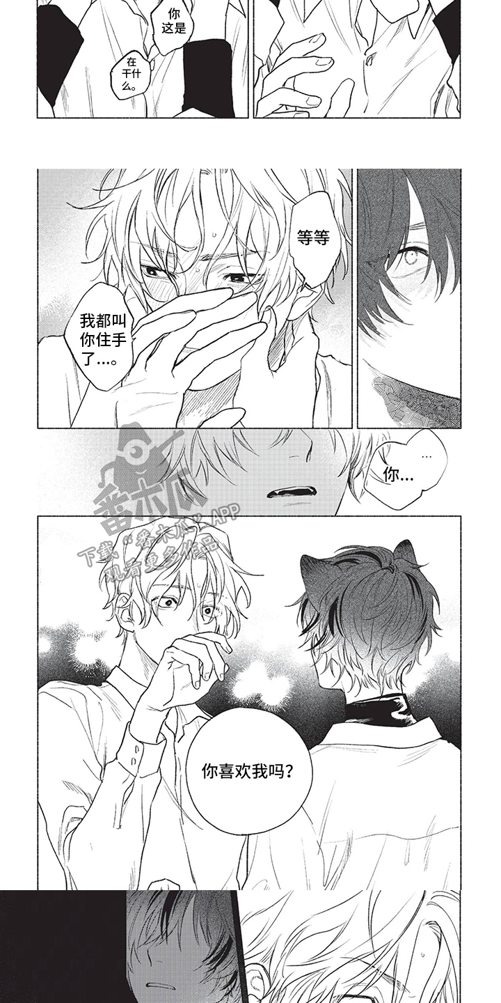 第15话：第15章：迷惑预览分镜