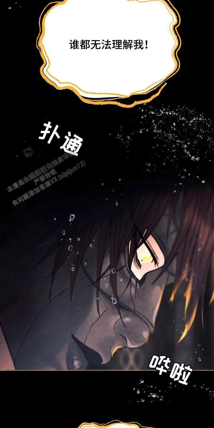 命运伴侣