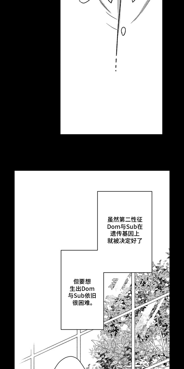 第10话：第10章：别无选择预览分镜