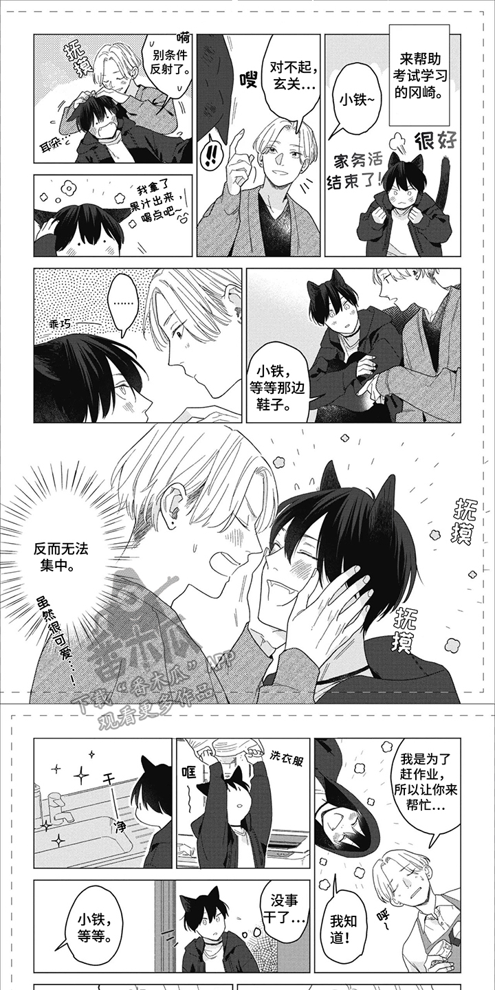 第19章:番外