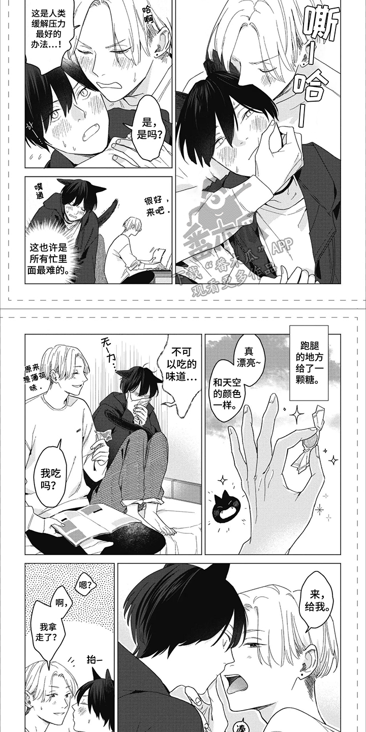 第19章:番外