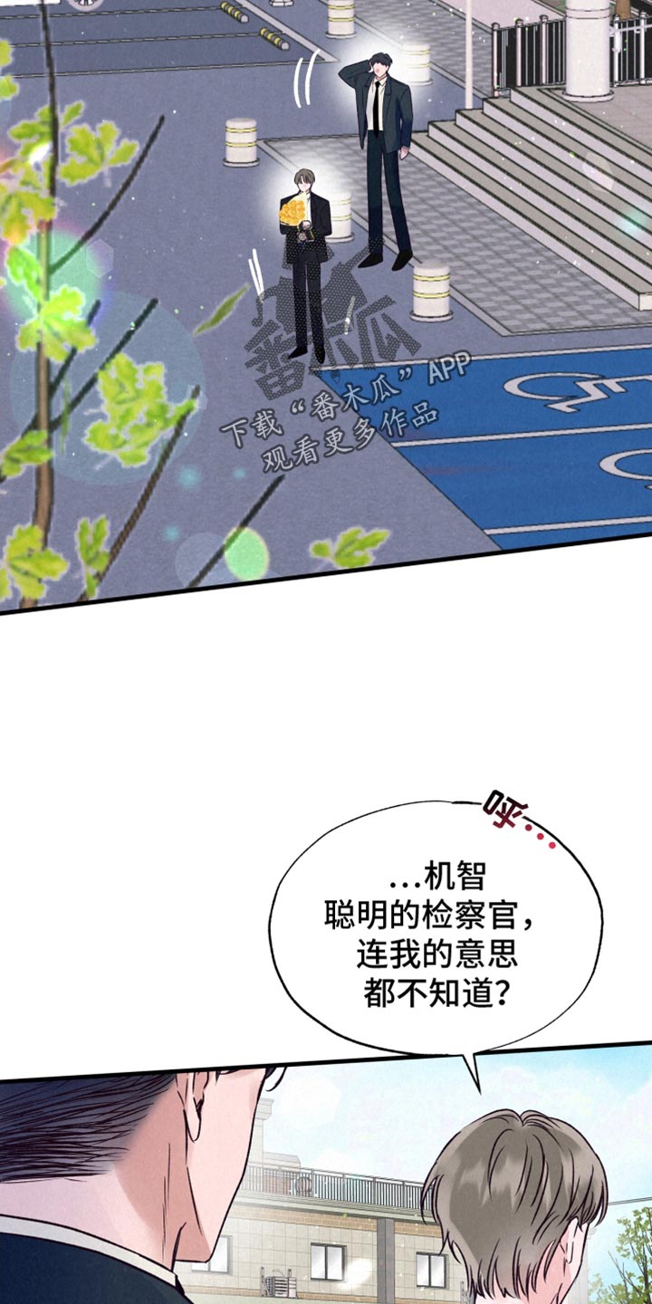 第43章:我喜欢你【完结】
