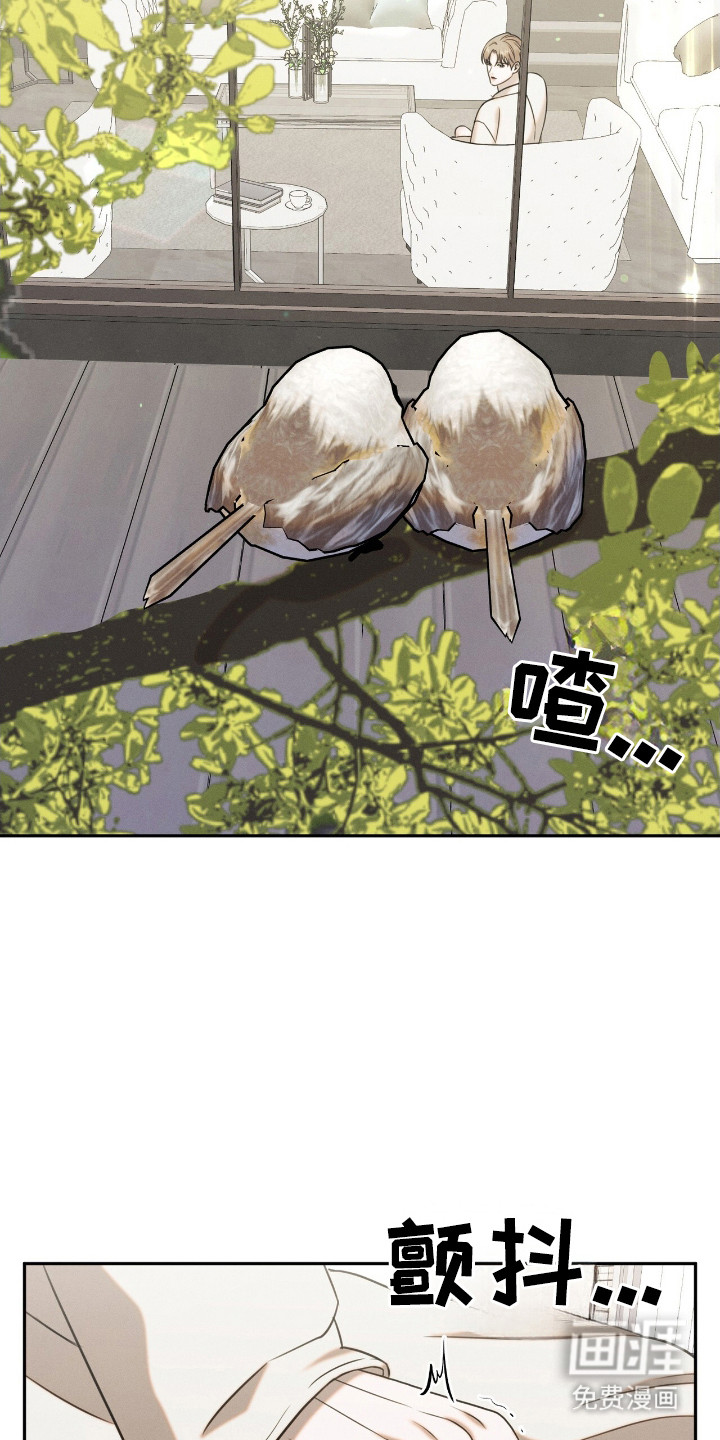 第16话：第16章：差一点预览分镜