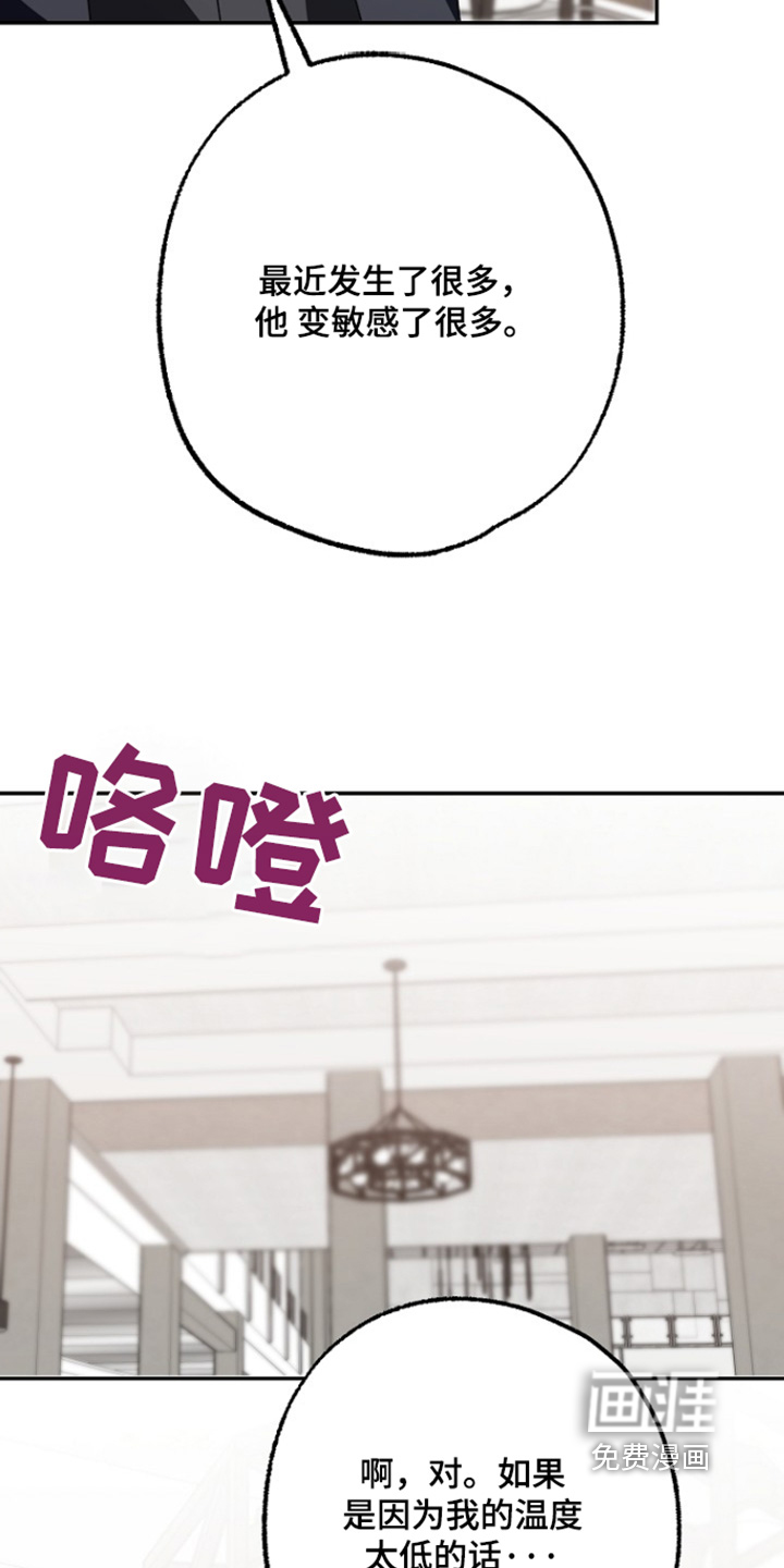 第61章:你疯了嘛