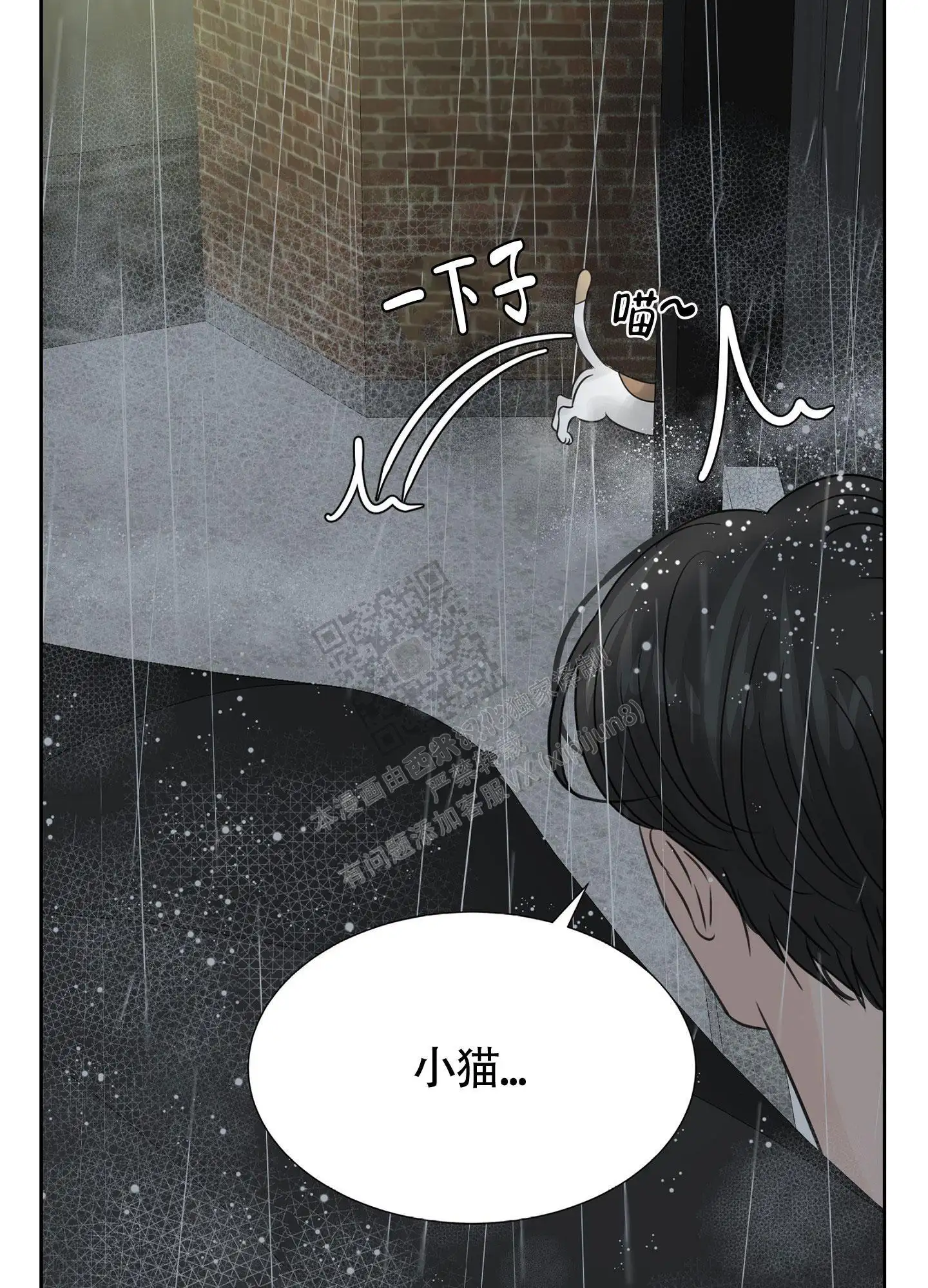 会见面的