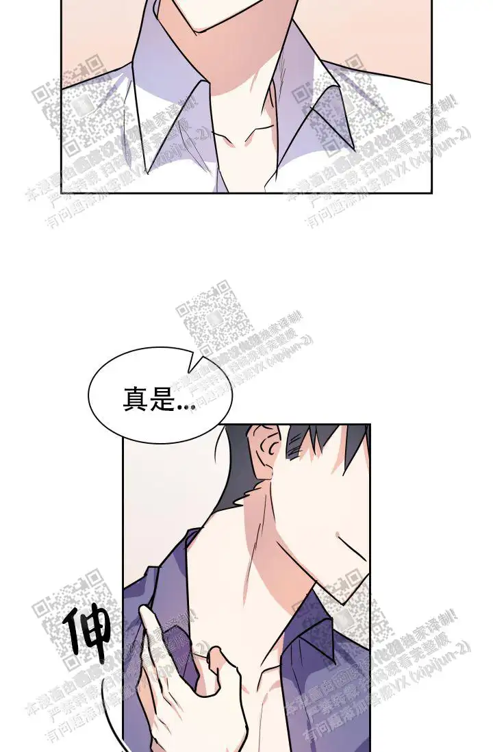 唯一的爱