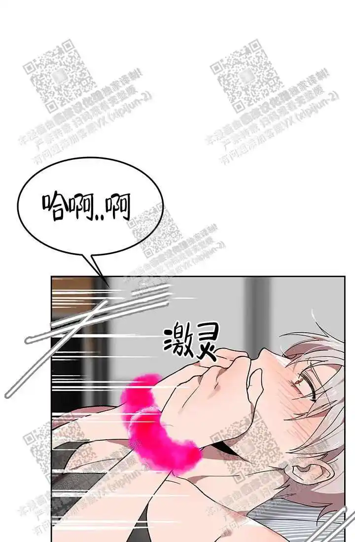 我的小兔子6