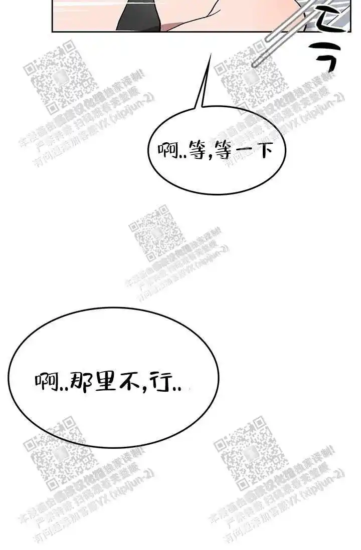 我的小兔子6