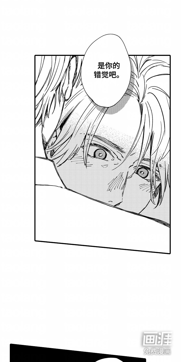 第5话：第5章：还喜欢吗预览分镜