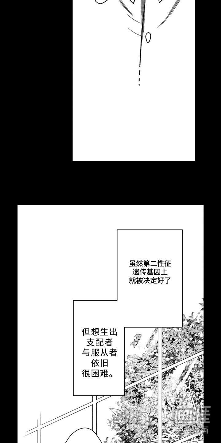 第10话：第10章：别无选择预览分镜