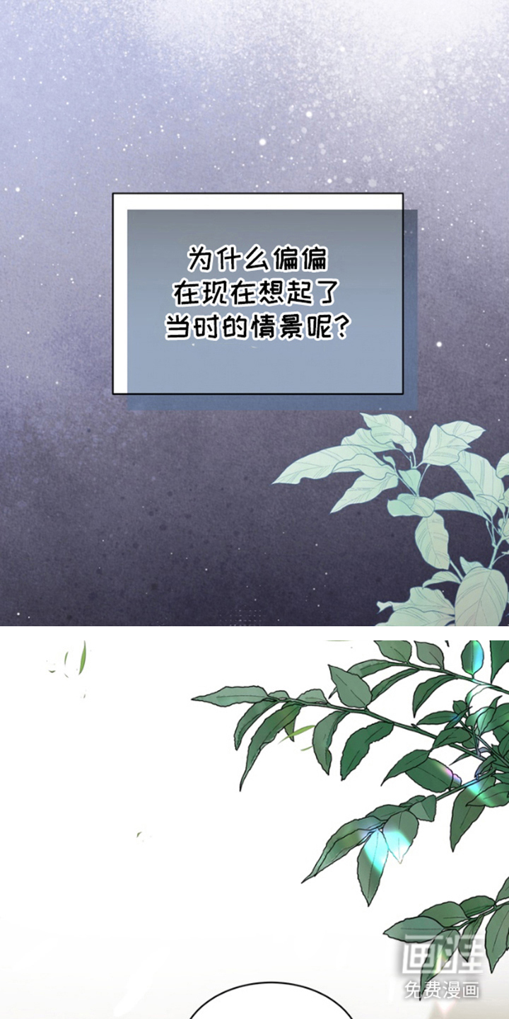 第8话：第8章：说明预览分镜
