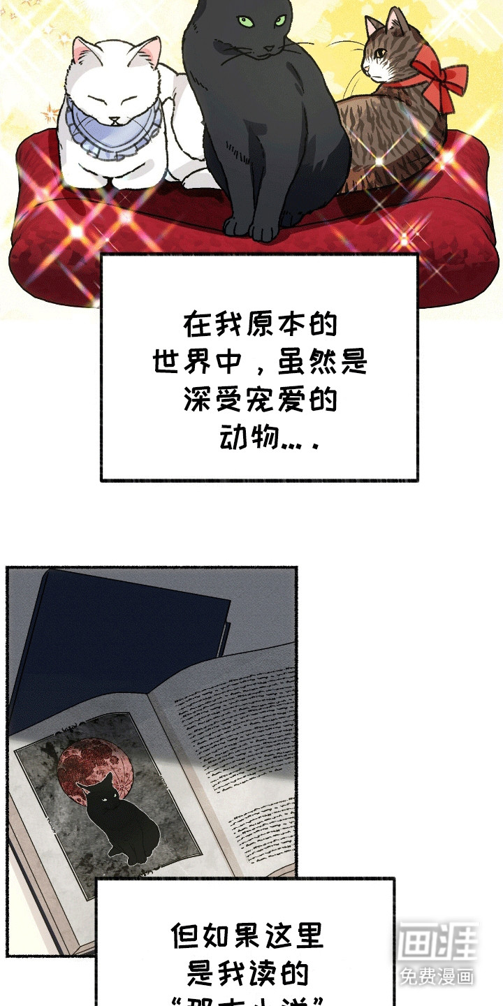 第2话：第2章：穿进书里预览分镜