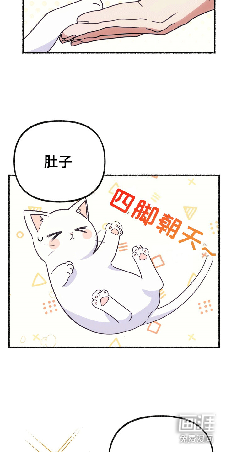第4话：第4章：撒娇卖萌预览分镜